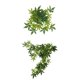thumbnail image 1 of 2 x plantas de colgantes falsos planta trepadora para dragones , , geckos, mascotas de serpiente y decoraciones de h Gloria Reptiles Vine Jungle, 1 of 9