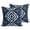 Blue, variant on Throw Pillow Covers 18x18 Inch Set of 2 Sage GreenTie-dye Decorative Pillows Cushion Case Soft Square Pillowcases Tribal Painting Art Throw Pillows for Couch Sofa Bed Chair Home Decor