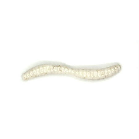 Appalachian Baits Mountin Grubz Oatmeal 1 Soft Floating Fishing Bait Grubs Scented 16 count