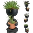 thumbnail image 3 of Zen Harmony Planter - Live Plants in a Decorative Pot - Cactus Succulent Air Plant - A Symbol of Serenity and Natural Beauty, 3 of 5