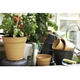 thumbnail image 5 of Macetas de plástico Apuakthei con bandeja - Macetas de plástico pequeñas con orificios de drenaje, macetas con bandejas, macetas de plástico para plantas de interior y exterior, 5 of 5