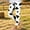 A14 Multicolor, variant on Girls Printed Leggings Soft Stretch Athletic Pants Elastic High Waist Footless Tights Casual Summer Activewear Cute Animal Pattern Long Yoga Bottoms