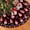 Black-1, variant on Festival Decoration Holiday Tree Skirt Decor for Holiday Party Mat, New Year Festive Decoration 36 in