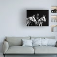 thumbnail image 3 of PHBurchett 'Donkey Portrait II' Canvas Art, 3 of 3