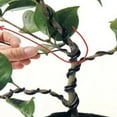thumbnail image 6 of Bendable and Reusable Bonsai Wire – Rustproof Plant Training Wire in 6 Sizes for Balcony, 6 of 8