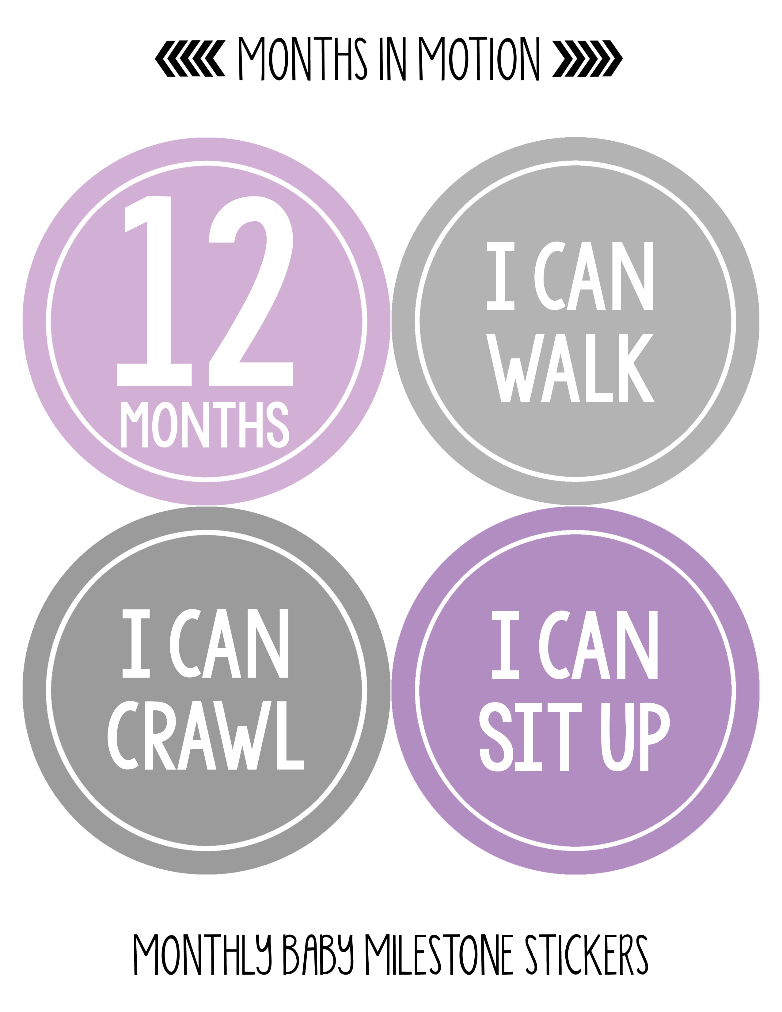Baby Monthly Milestone Stickers - First Year Set of Baby Girl Month