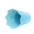 thumbnail image 4 of Desk Tidy Holder Garden D茅cor Iron Flower Pot Plant Planter Lace Flower Pot, 4 of 6