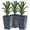Gray#2, variant on Garden Pots Outsunny Set of 3 Tall Planters with Drainage Hole, 28" Outdoor Flower Pots, Indoor Planters for Porch Patio and Deck, Brown,Outdoor Garden Planters