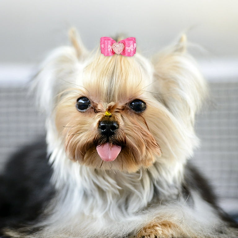 YLSHRF Medium Dog Hair Bows,15Pcs Pet Multicolor Hair Bowknot Bows Grooming  Accessories for Cat Medium Small Dog, Pet Hair Bowknot - Walmart.com
