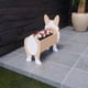 thumbnail image 4 of Forma De Perro, Maceta Suculenta De Dibujos Animados Para Mascotas, Para Decoración De Jardín Y Hogar Minnieouse HA039588-01, 4 of 6