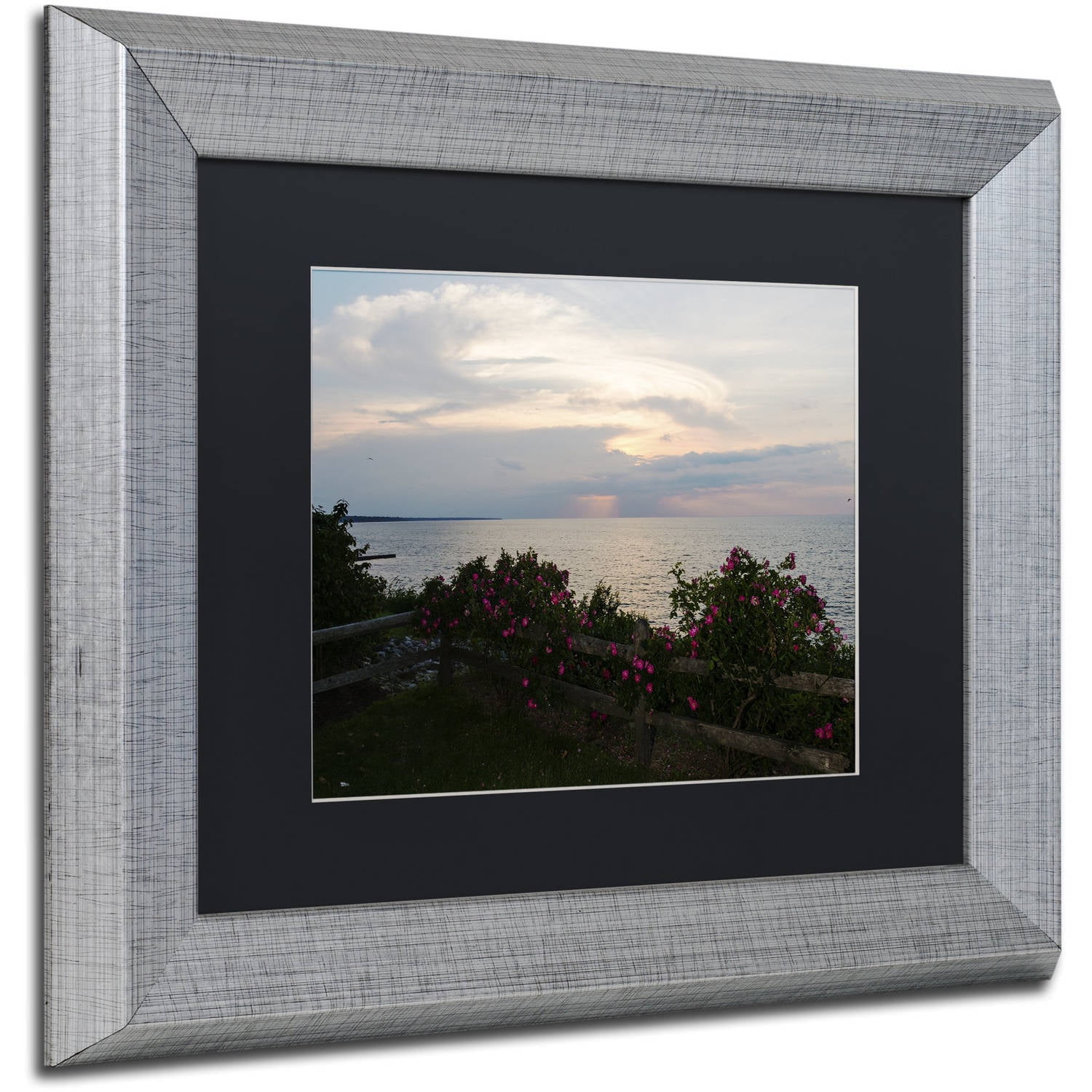 Trademark Fine Art "Roses in Bloom Along the Lake" Canvas Art by Kurt Shaffer, Black Matte, Silver Frame