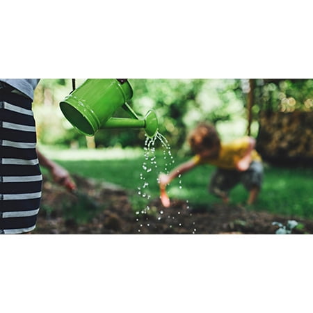 Lawn and Garden Essentials