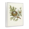 thumbnail image 3 of Stupell Industries Cottage Forest Bird Nest on Branch White Framed Giclee Art, 16 x 20, by Tina Higgins Designs Inc., 3 of 8