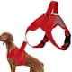thumbnail image 5 of Arnés para Perros ANGGREK Correa de pecho Ajustable Resistente Al Desgaste Antidesvanecimiento, 5 of 8