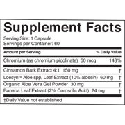 Level G Plus | Blood Sugar Support