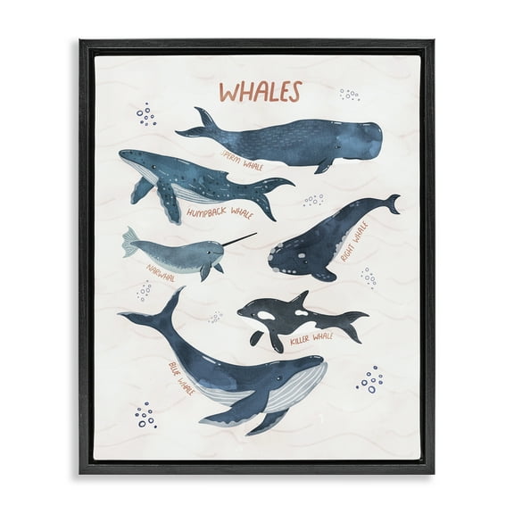 Stupell Industries Whales of the World Animals & Insects Painting Black Floater Framed Art Print Wall Art, 17 x 21