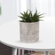 thumbnail image 4 of unbranded 6Ud Plantas Decorativas Artificiales Simuladas Ideales Para Centros De Y Hogar, 4 of 6