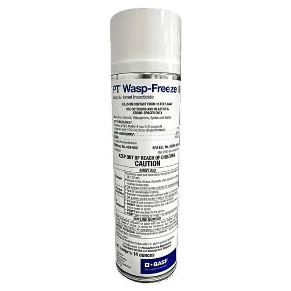 Wasp Freeze II Insecticide 14oz