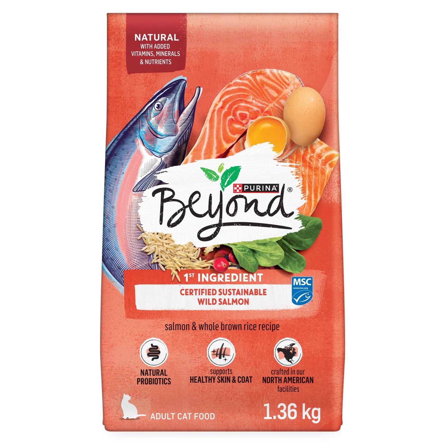 Beyond Simply Recette de Saumon et de Riz Brun Entier, Nourriture Sèche pour Chats 1,36 kg