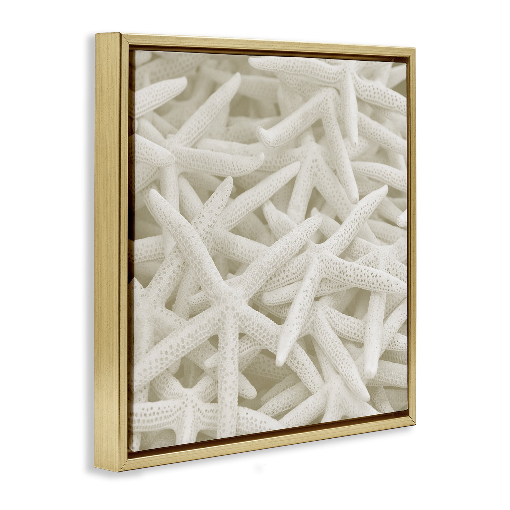 Stupell Industries Nautical White Starfish Photography Nature Photography Gold Floater Framed Canvas Art Print Wall Art, 18 x 18
