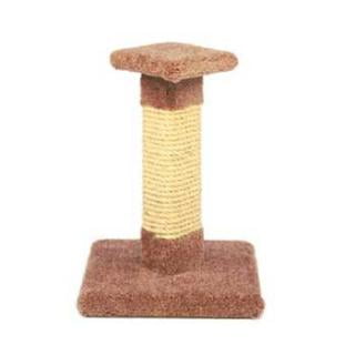 Ware Kitty Cactus Post - Ware Kitty Cactus 18