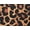Leopard Print, variant on Women's Plus Size Tummy Control Brief