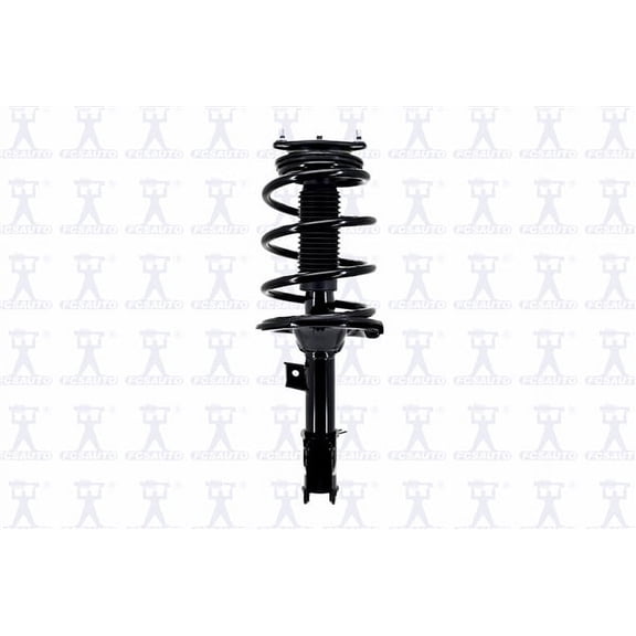 Suspension Strut and Coil Spring Assembly