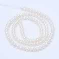 thumbnail image 2 of 1 strand Natural Cultured Freshwater PearlBeads Strands Round Floral White 4~4.5mm Hole: 0.6~0.8mm 81~83pcs/strand 14.45 inch~15.08 inch(36.7~38.3cm), 2 of 2