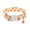 Pumpkin, variant on Cute Printed Dog Collar with Adorable and Unique Patterns, Suitable for Small Medium Large Dogs, Designed Specifically for Dogs in A Delightful Style