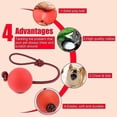 thumbnail image 4 of pelotas elásticas de juguete con cuerda para perros (rojas), 4 of 5