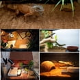 thumbnail image 2 of Hamiledyi Reptile Carpet Natural Coconut Fiber Tortoise Carpet Mat for Pet Terrarium Liner Reptile Supplies for Lizard Snake Chamelon Turtle Bedding Bunny Rabbit Mat (2sheets), 2 of 2