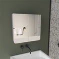 thumbnail image 1 of Luv Mirror Medicine Cabinet   Engineered Wood White, 1 of 8