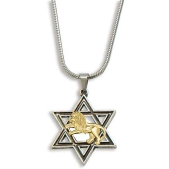 Holy Land Gifts 256456 Pendant - Star of David & Lion of Judah - Stainless Steel