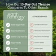 thumbnail image 5 of (2 pack) Earth Harmony 15-Day Gut Cleanse, Oxygen Powered Detox Gut Cleanse, 60 Capsules, 5 of 6