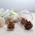 thumbnail image 3 of Viveous 6 Pcs 80mm Clear Ball Shaped Hanging Glass Vases Flat Base Design Ball Shape Flower Plants Terrarium Vase Containers Landscape DIY Wedding Home Decor, 3 of 5