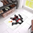 thumbnail image 3 of MKHERT Funny French Bulldog Dog Holding Martini Cocktail Doormat Rug Home Decor Floor Mat Bath Mat 23.6x15.7 inch, 3 of 3