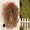 Red, variant on Artificial Hanging Flowers for Outdoors Spring Summer Decoration, 1PCS UV Resistant Silk Fake Hanging Plants for Patio Porch Front Yard Window Garden Indoor Decor(Hot Pinkrple)