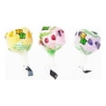 thumbnail image 3 of Caja Paletas Tix Tix Sonrics 24 Paquetes Con 30 Paletas c/u Mayoreo, 3 of 5