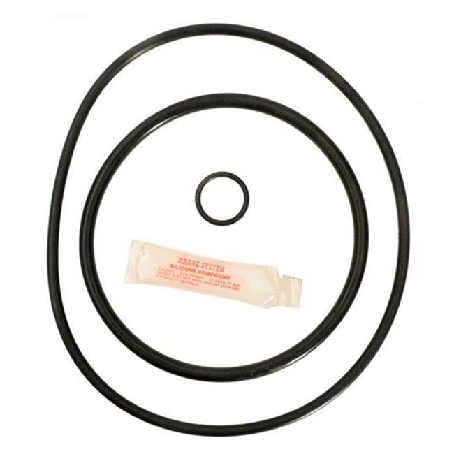 Hayward S190 & 245T ORing Repair Kit