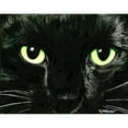thumbnail image 2 of CafePress - Black Cat Pearl Throw Blanket - Soft Fleece Throw Blanket, 50"x60" for All Ages, 2 of 2