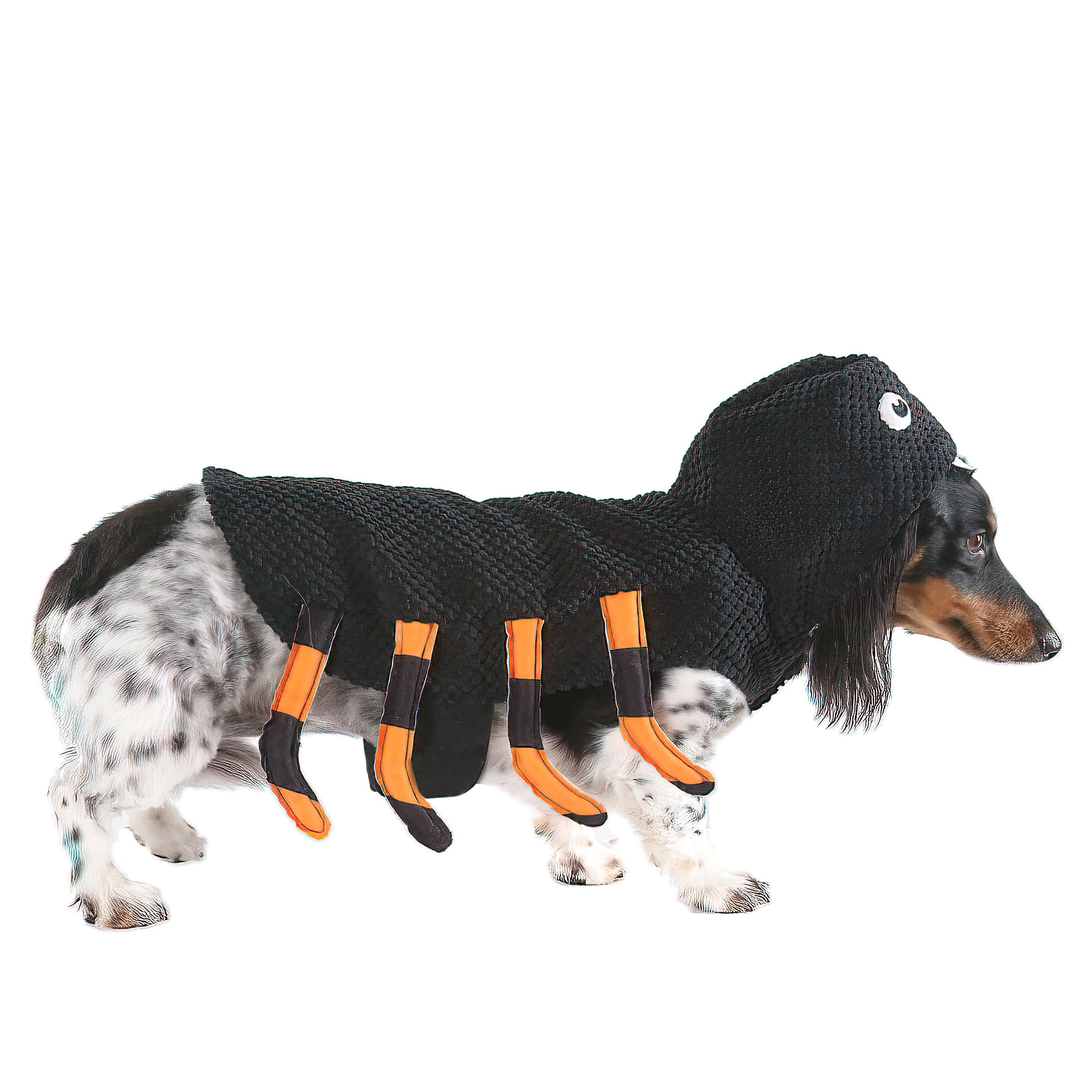 wiener dog spider costume