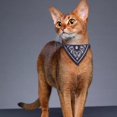 thumbnail image 2 of ievspot 1 Pcs Pet Saliva Towel Ethnic Style Print Triangle Neckerchief Bib Fabric Adjustable Bandana Collar for Puppy Dogs Cats Pet Accessories Gift, 2 of 8