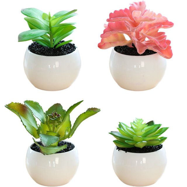 Uds. Macetas de plástico redondas medianas simulación de suculentas bonsái pequeños adornos creativos simulación de plantación en macetas