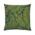 thumbnail image 2 of Ahgly Company Color Focus Green Indoor Throw Pillow, 18 inch by 18 inch, 2 of 6