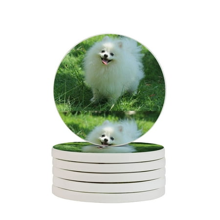 

Circular Drink Coasters Set Cute White Pomeranian Dog Beautiful Home Decor Diatomite Heat-Resistant Diatomite Protect Table Countertop