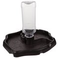 thumbnail image 4 of 1pc Small Pet Feeding Bowl Drinking Foods Feeder Container for Lizard Turtle Reptile (Coffee), 4 of 7