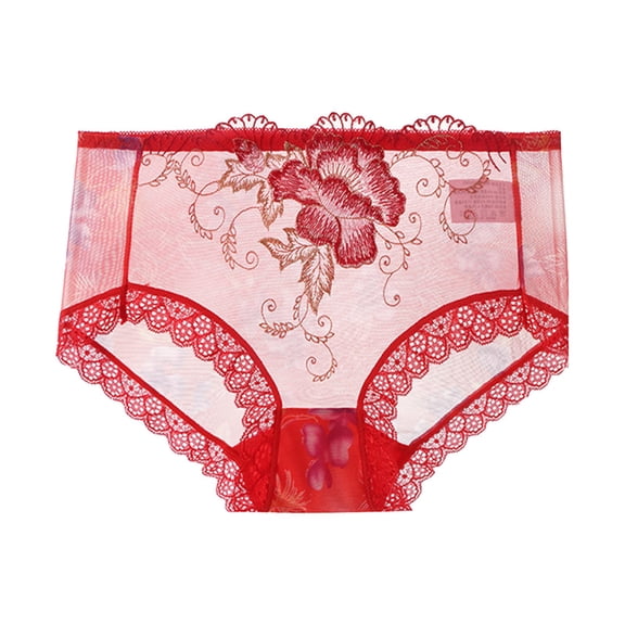 lulshou Womens Underwear Sheer Mesh Lace Panties Breathable Daily Wear Briefs Underwear, Red, XXXL