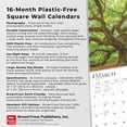 thumbnail image 6 of Majesty of Trees 2025 12 X 24 Inch Monthly Square Wall Calendar Plastic-Free (Wall), 6 of 9