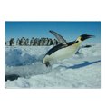 thumbnail image 3 of Penguin Cutting Board, Penguins Pole Wildlife Swimming Flying Dancing Family Group Icebergs Antarctica, Decorative Tempered Glass Cutting and Serving Board, Small Size, Multicolor, by Ambesonne, 3 of 5