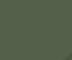 Bronze Green